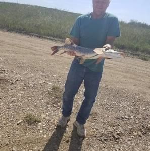 Meet your Posher, Jim